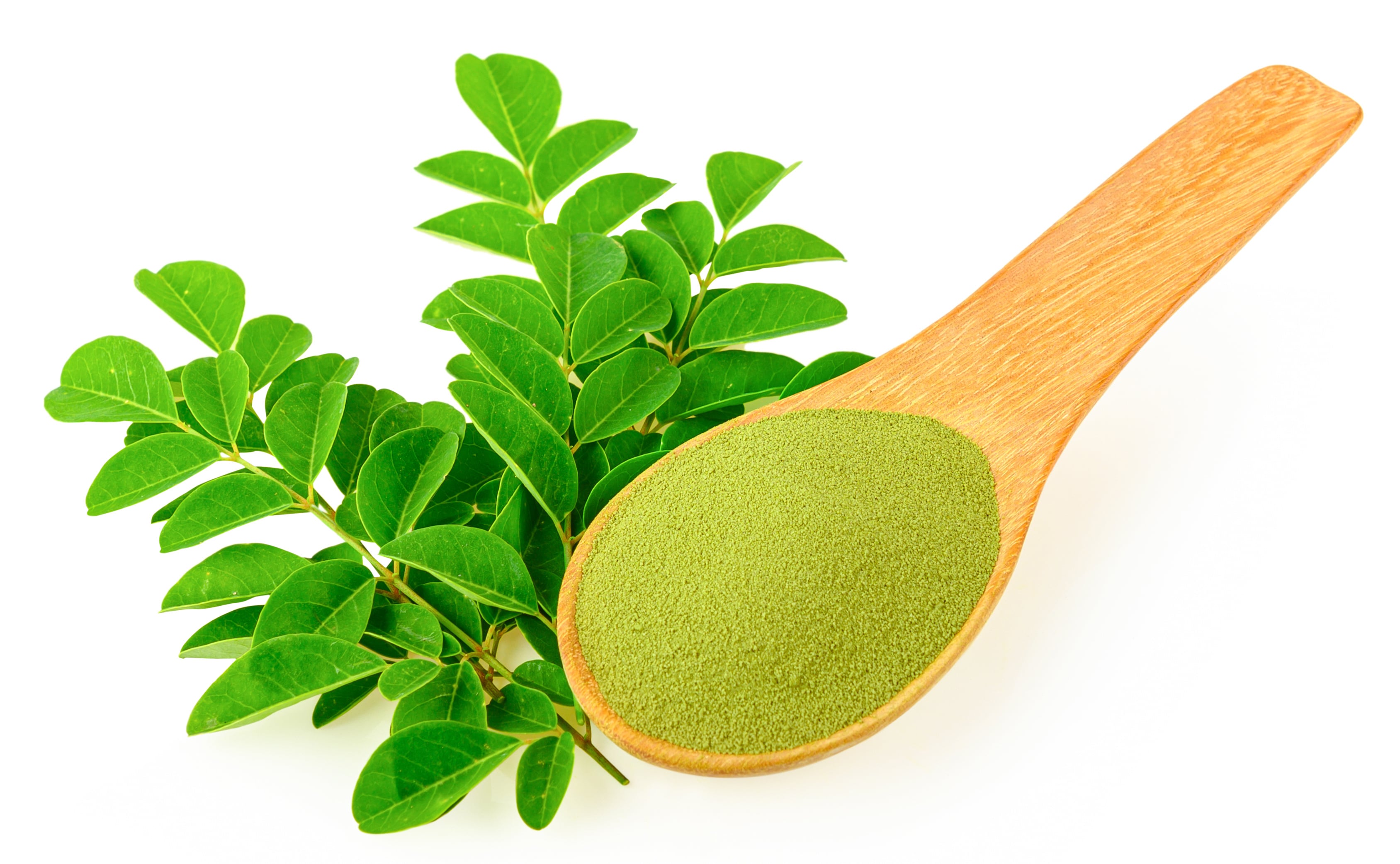 Moringa 2-min